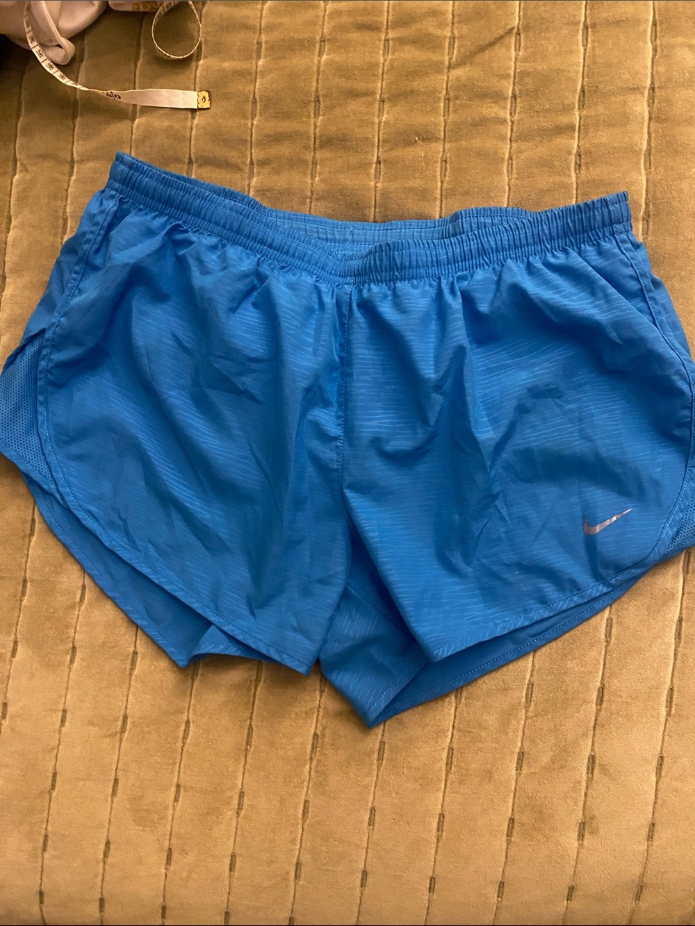 Nike woman Blue Athletic Shorts with Silver Swoosh